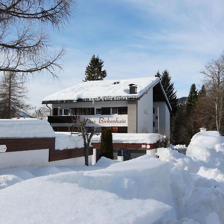 Apartment Am Birkenhain.24 Seefeld in Tirol Dış mekan fotoğraf